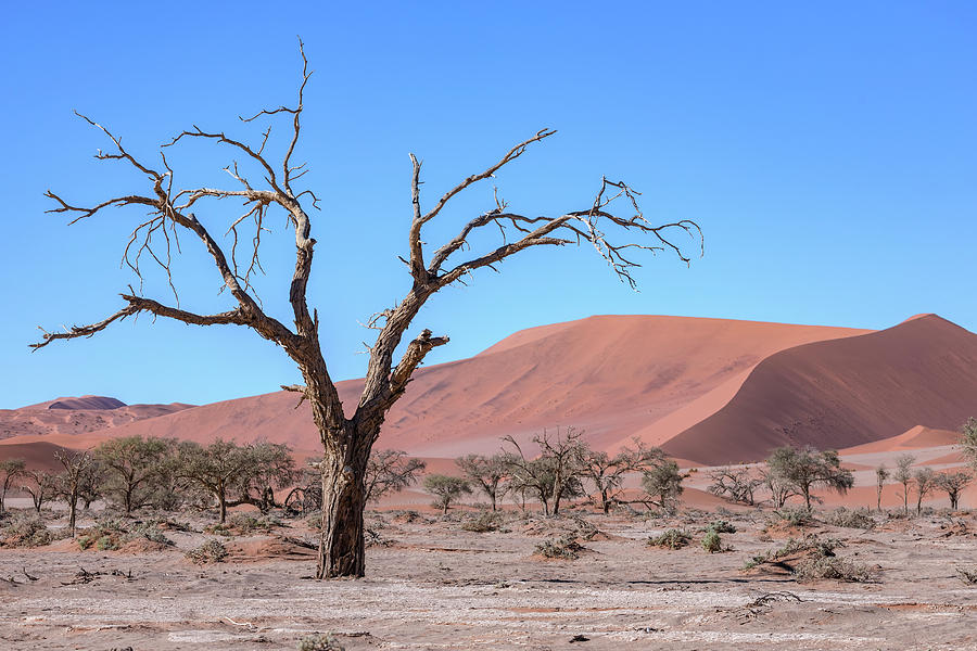 Sossusvlei - Namibia #9 Photograph by Joana Kruse