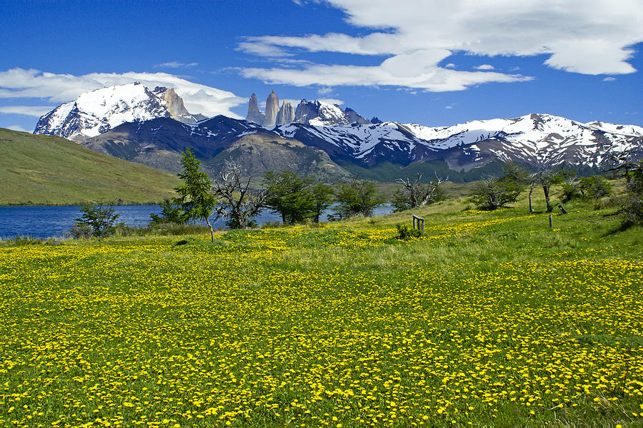 Springtime in Torres del Paine #9 Photograph by Michele Burgess
