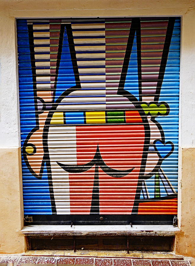 Street Art In Palma Majorca Spain #9 Photograph by Rick Rosenshein