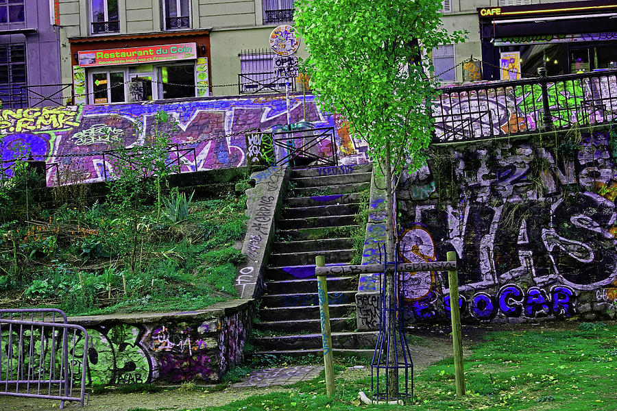 Street Art In The La Villette Area Of Paris, France #9 Photograph by Rick Rosenshein
