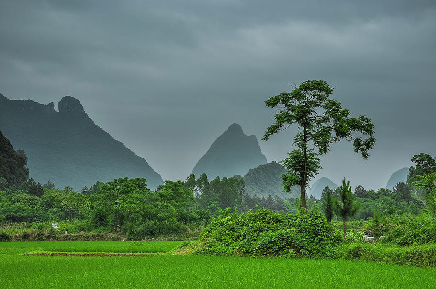 The beautiful karst rural scenery #9 Photograph by Carl Ning