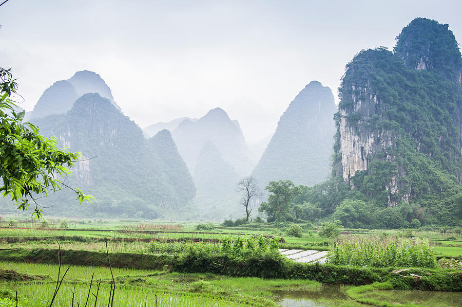 The beautiful karst rural scenery in spring #9 Photograph by Carl Ning