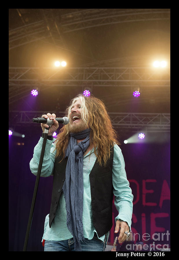 The Dead Daisies  #10 Photograph by Jenny Potter