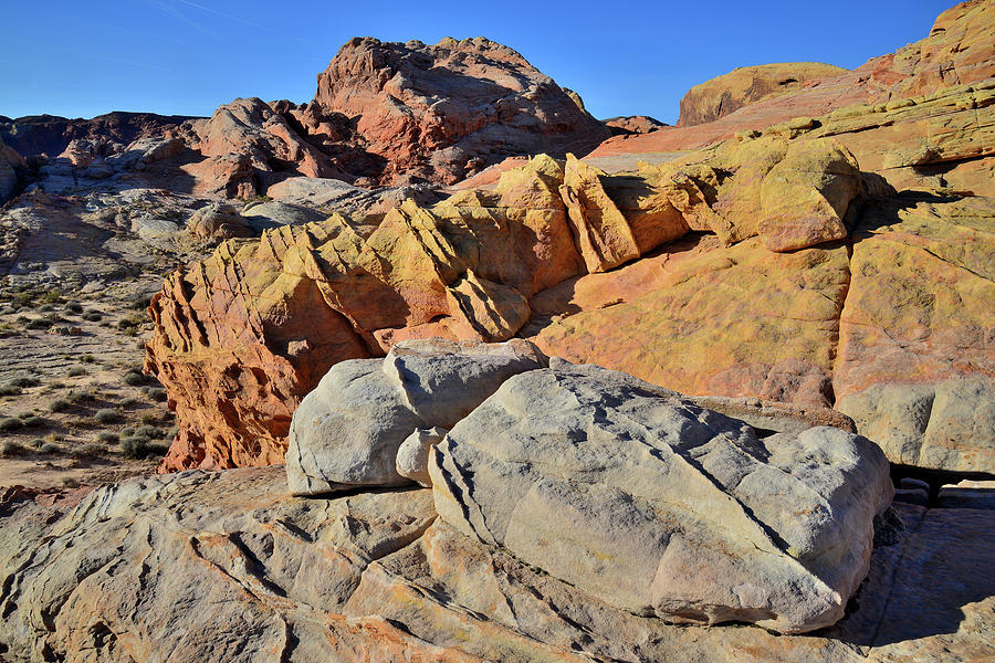 The Many Colors of Valley of Fire #9 Photograph by Ray Mathis