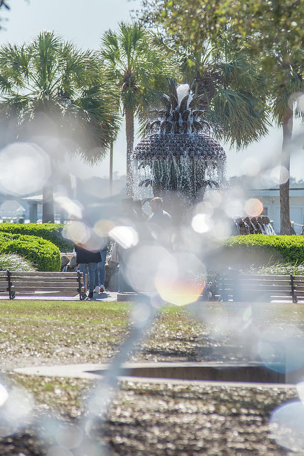 The Pineapple Fountain, at the Waterfront Park in Charleston, So #9 Photograph by Alex Grichenko