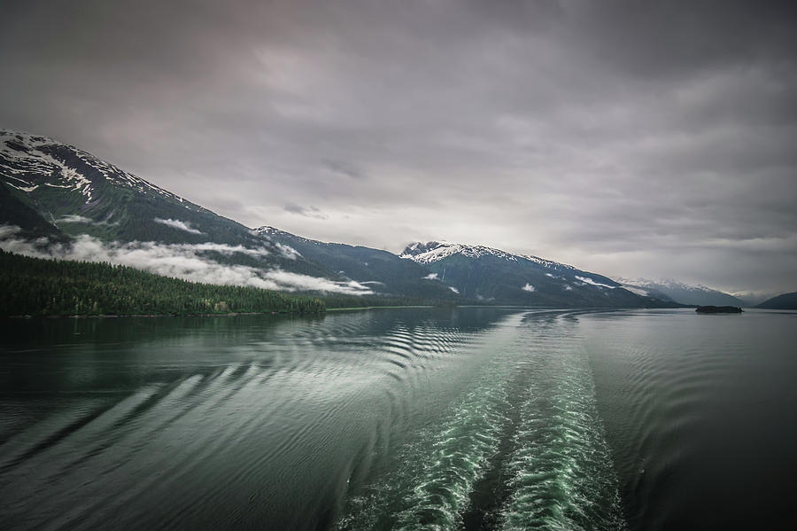 Tracy Arm Fjord Scenery In June In Alaska #9 Photograph by Alex Grichenko