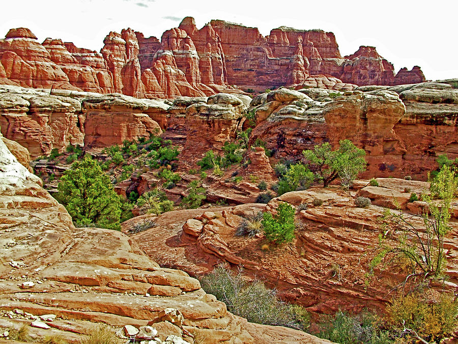 Trail to Chesler Park Viewpoint in  Needles District in Canyonlands National Park, Utah #9 Photograph by Ruth Hager