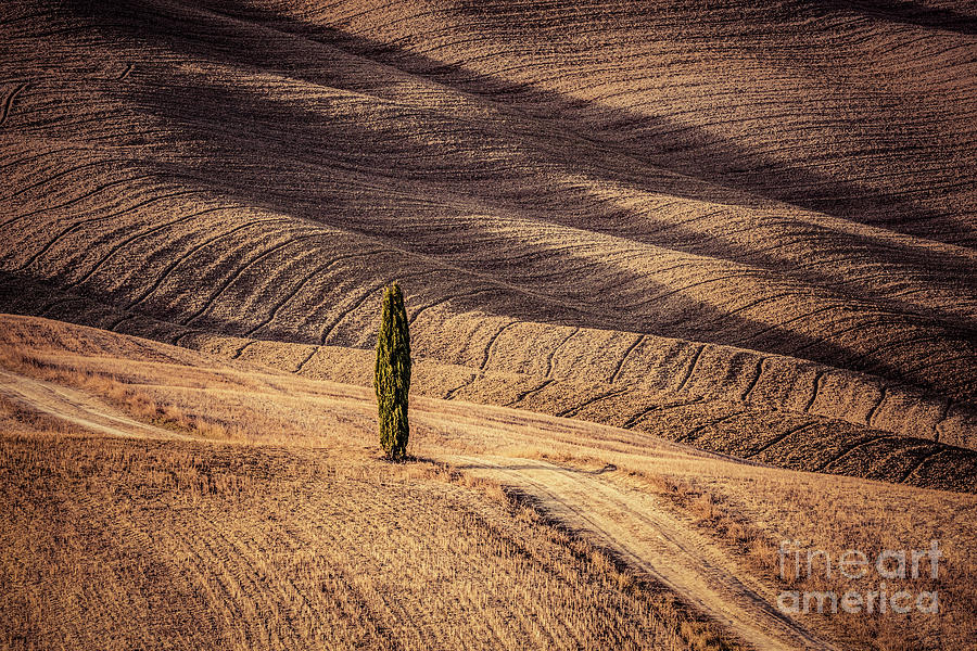 Tuscany fields autumn landscape, Italy. Harvest season #9 Photograph by Michal Bednarek