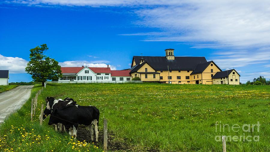 Vermont Dairy Farm. #10 Photograph by New England Photography