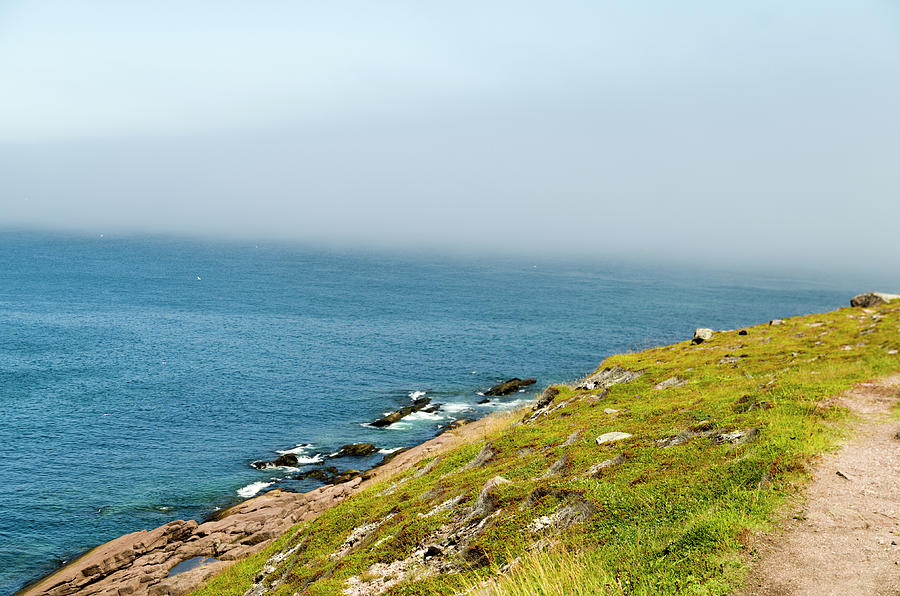 View From Cape Spear Walking Trails 5 Photograph