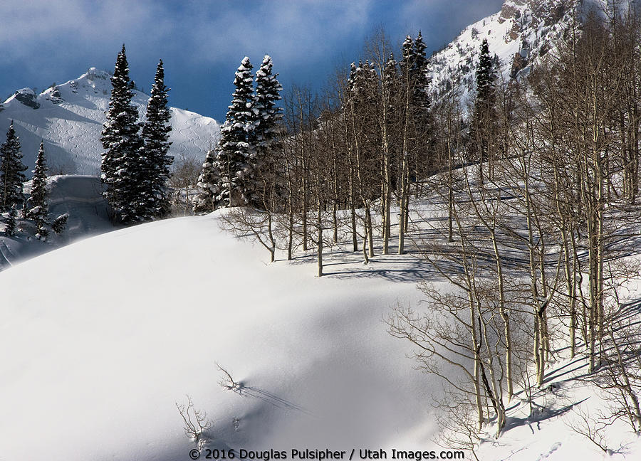 Wasatch Mountains In Winter Photograph