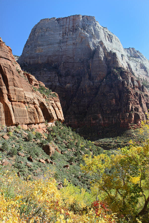 Zion National Park in Autumn #9 Photograph by Pierre Leclerc Photography