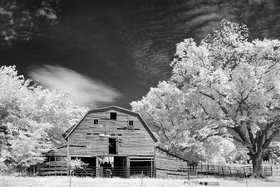 90 Year Old Barn Photograph by James Barber