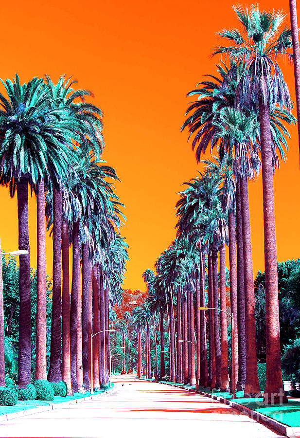Beverly Hills 90210 TV Show PALM TREE LOGO Lightweight Beach Towel 