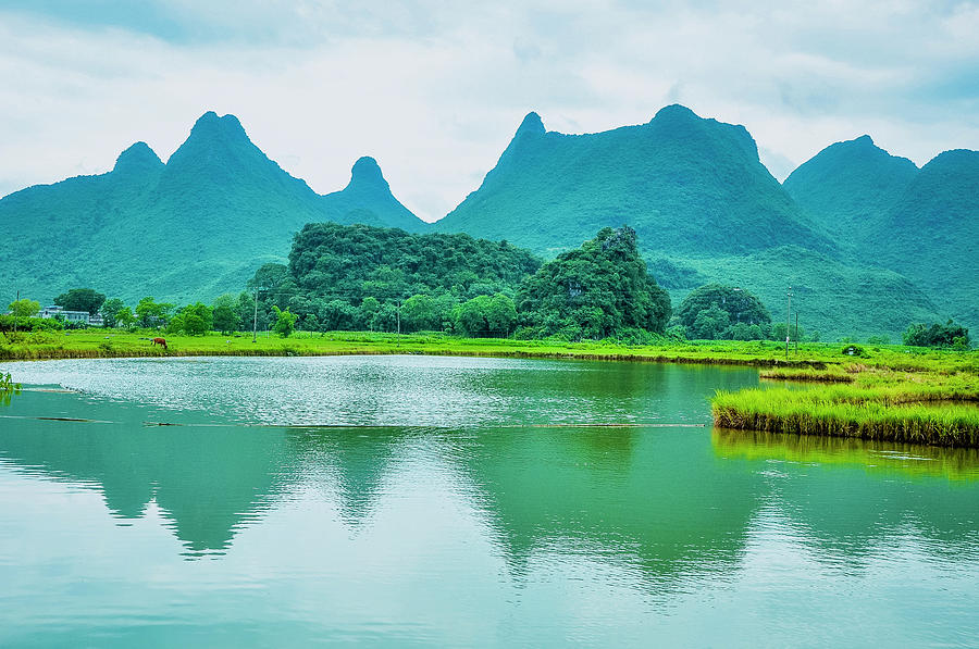 Karst rural scenery in spring #91 Photograph by Carl Ning