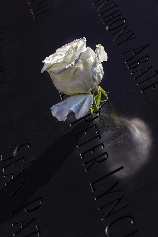 Flowers Still Life Photograph - 9_11 Memorial NYC #911 by Robert Ullmann