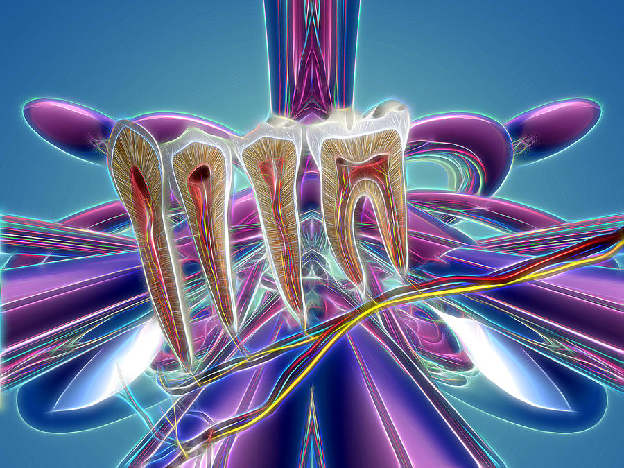 Anatomy Art Digital Art by Joseph Ventura - Fine Art America