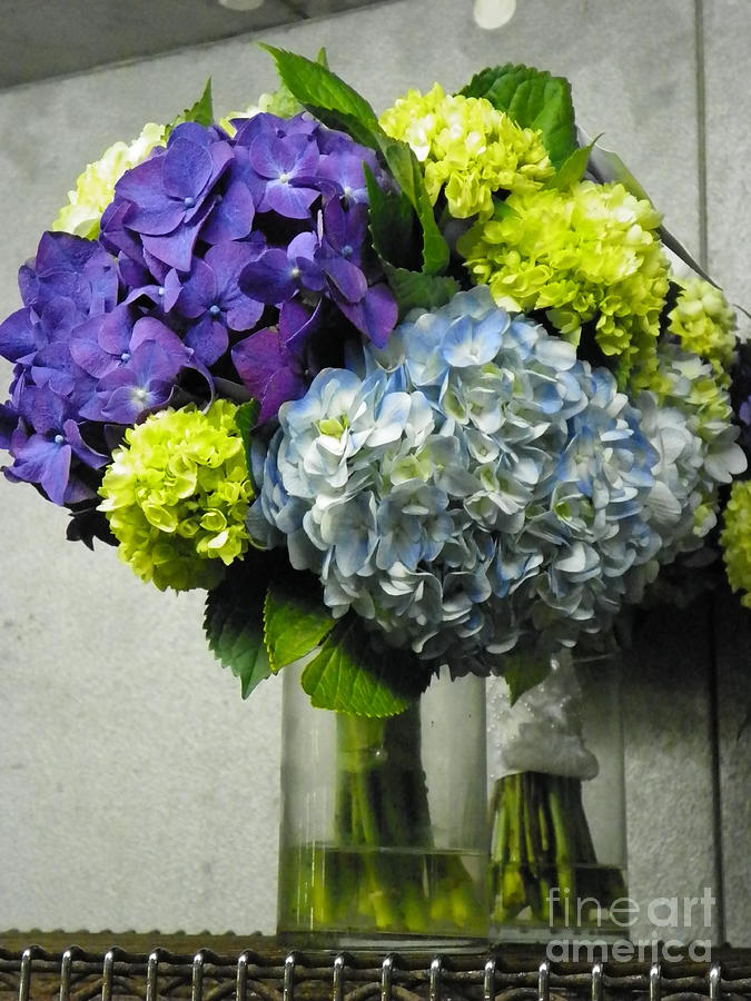 Flower Photograph - #935 D1002 Fascinating Bouquet of Hydrangea Blooms #935 by Robin Lee Mccarthy Photography
