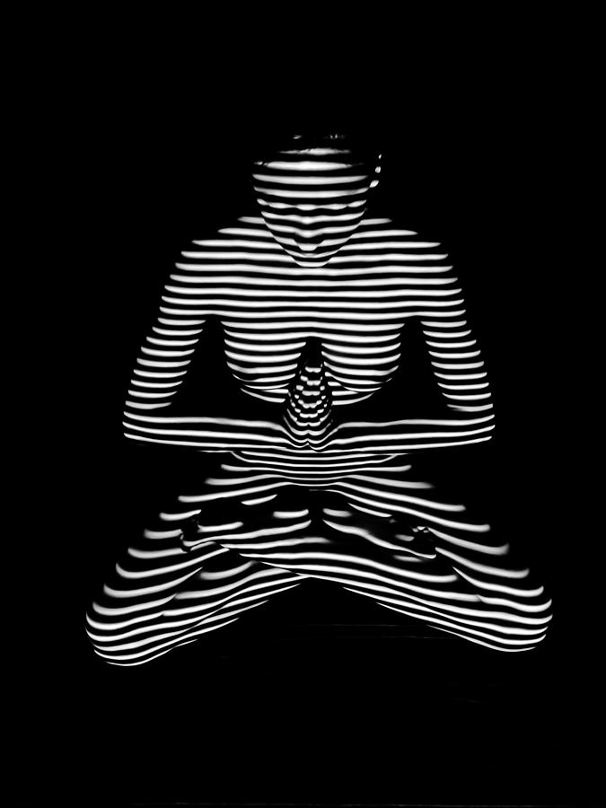 9448-DJA Lotus Position Zebra Stripe Abstraction Black White Photograph by Chris Maher Photograph by Chris Maher