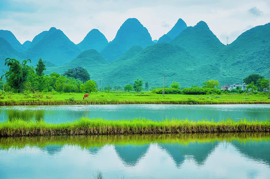 Karst rural scenery in spring #95 Photograph by Carl Ning