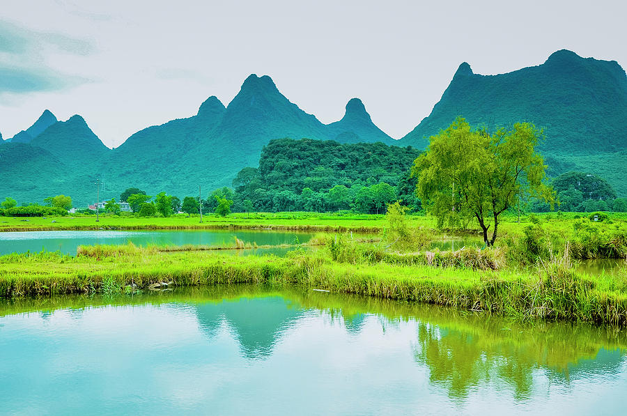 Karst rural scenery in spring #96 Photograph by Carl Ning