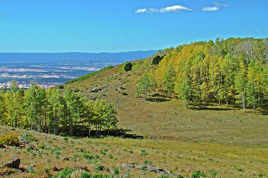 9600 Foot summit from Scenic Byway Highway 12 in Dixie National Forest, Utah Photograph by Ruth Hager