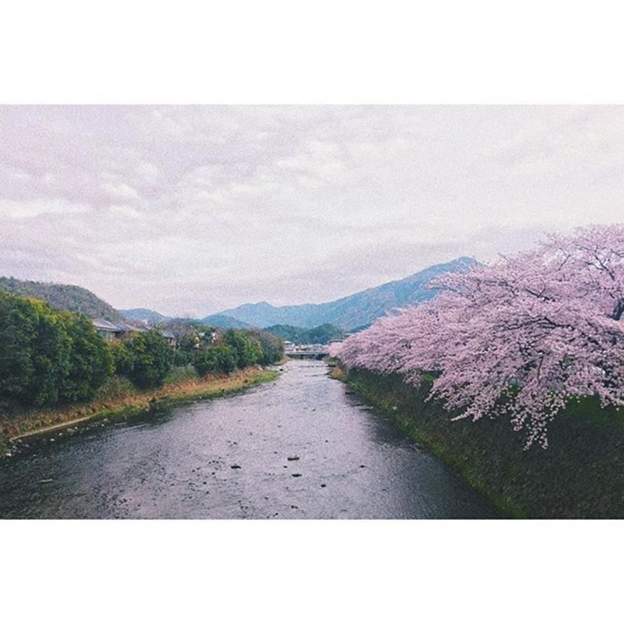 Kyoto Photograph - Instagram Photo #981493192096 by Takashi Hiramoto