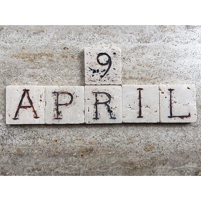Spring Photograph - 9th April,calendar Date Carved On by Adriano La Naia