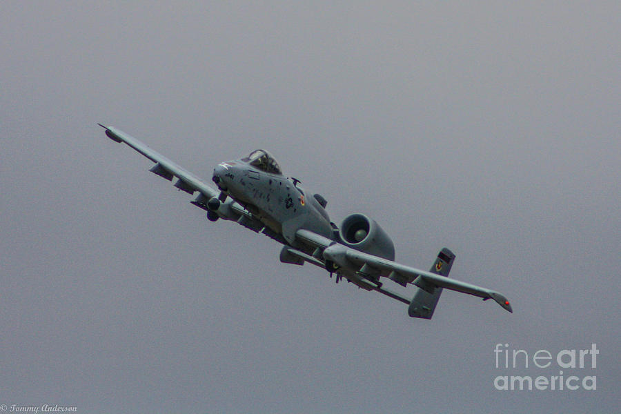 Warthog Photograph - A-10 Thunderbolt II - 2 by Tommy Anderson