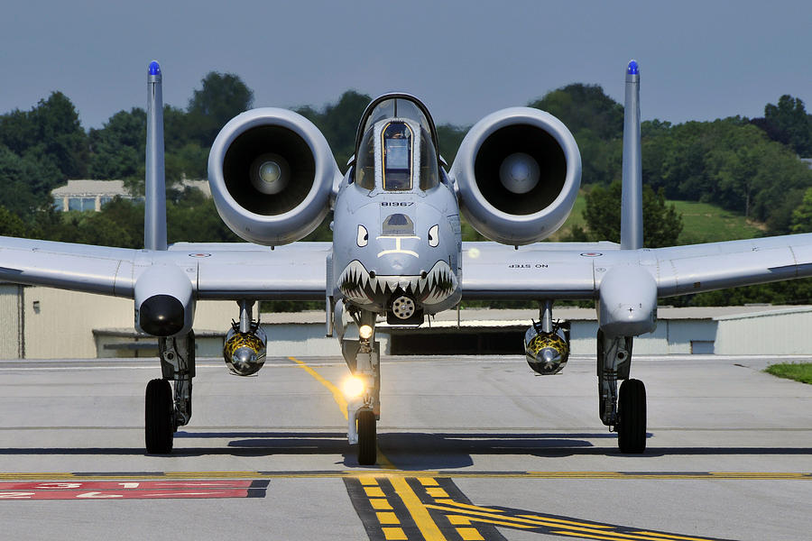 A-10 Warthog Photograph by Dan Myers