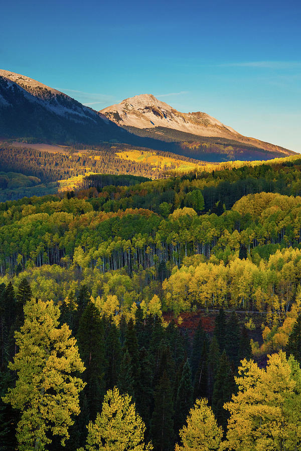 A Autumn Morning In Colorado Photograph by John De Bord