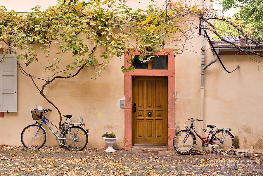 Bicycle Photograph - A Back Lane in Speyer by Louise Heusinkveld
