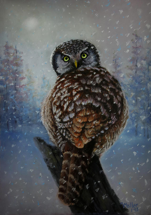 Owl Pastel - A Backwards Stare by Marcus Moller