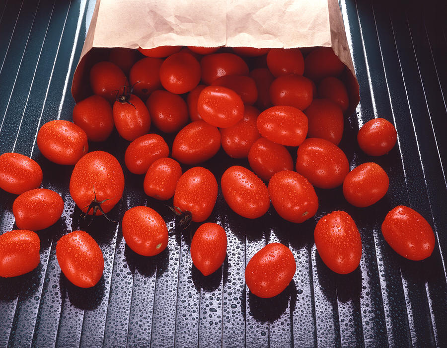 A Bag of Tomatoes Photograph by Steven Huszar