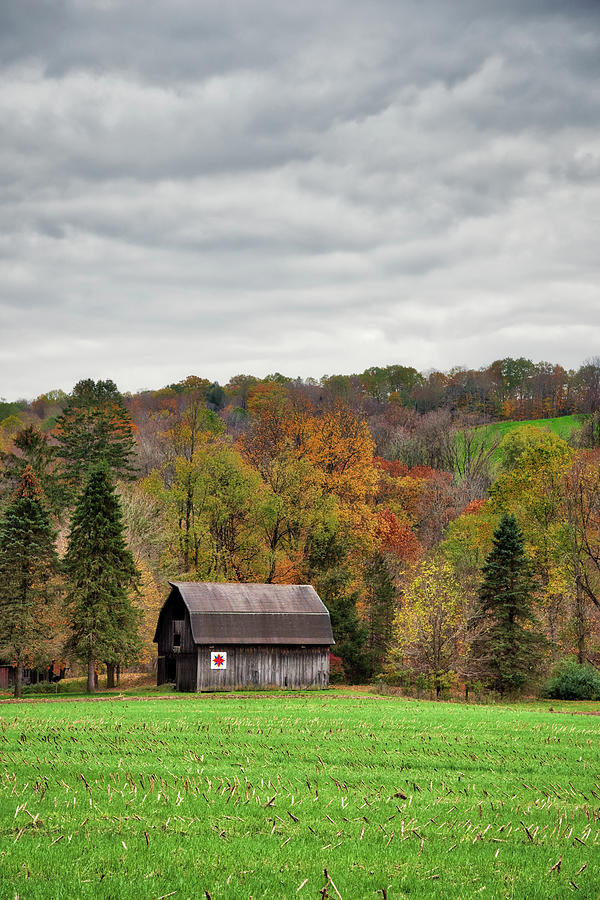 A Barn In Autumn Photograph by Guy Whiteley
