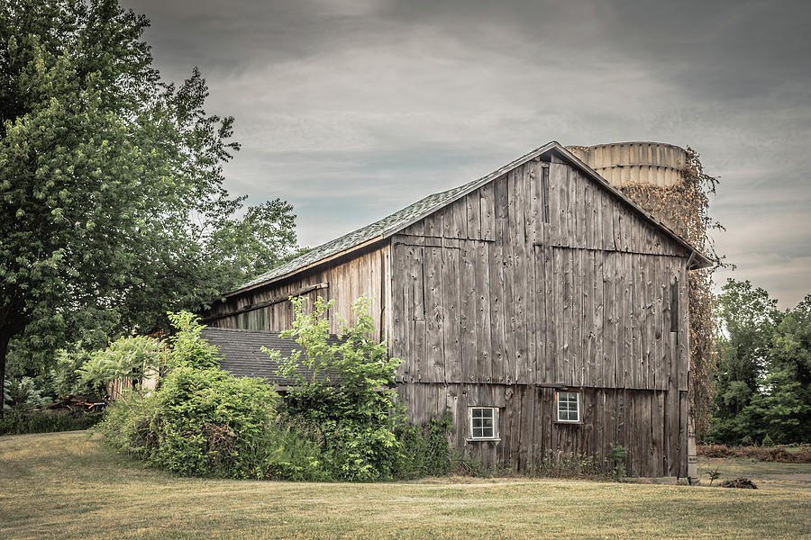 A Barn In Cowlesville Photograph by Guy Whiteley