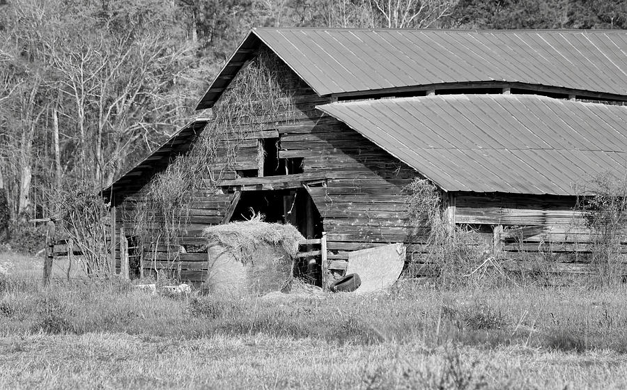 Barn Photograph - A Barn in Georgia by Kim Hojnacki
