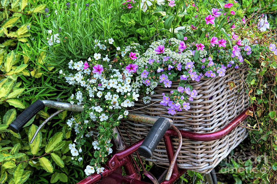 A Basket of Flowers Photograph by Tim Gainey