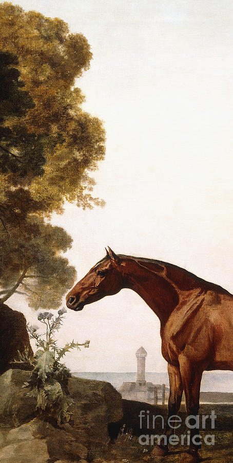 A Bay Arab in a Coastal Landscape Painting by George Stubbs