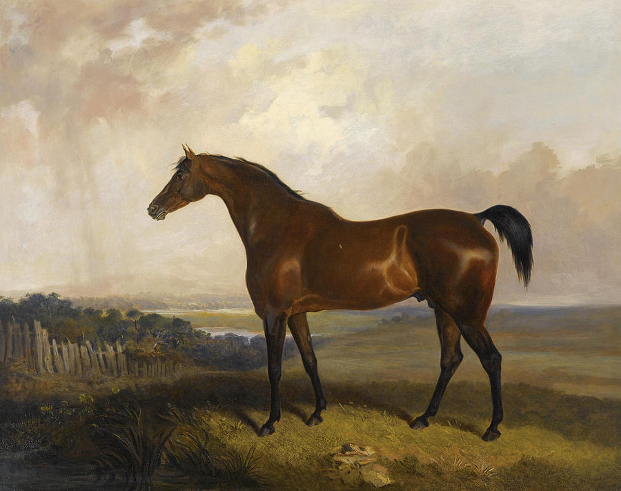 A Bay Horse in a Landscape Painting by Sawrey Gilpin - Fine Art America