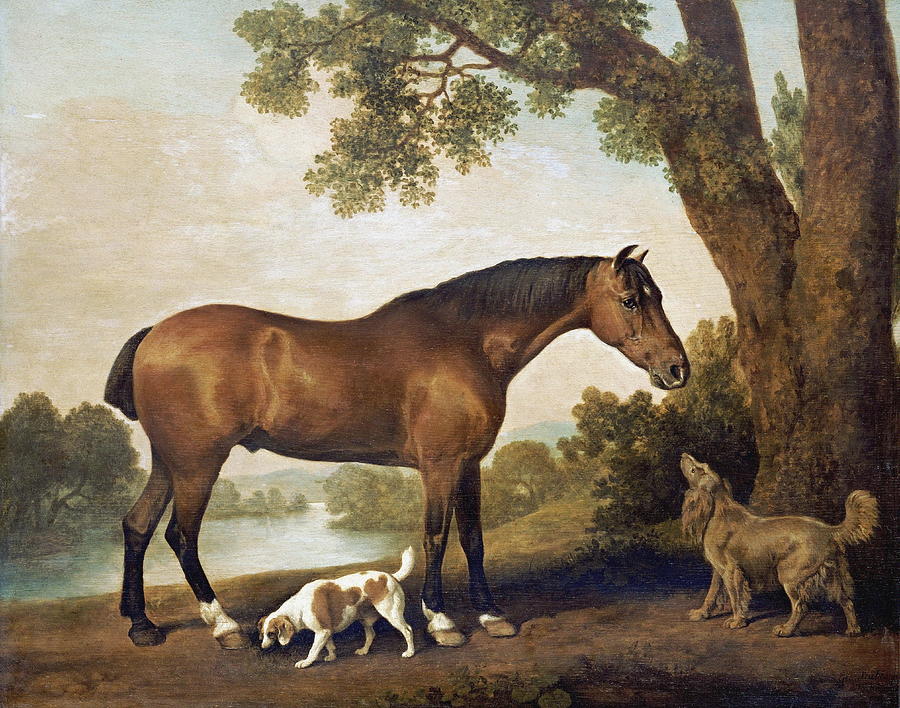 Horse Painting - A Bay Hunter, A Springer Spaniel And A Sussex Spaniel, 1782 by George Stubbs