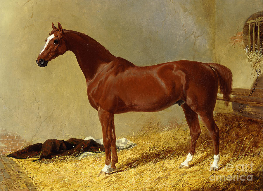 A Bay Racehorse in a Stall, 1843 Painting by John Frederick Herring Snr