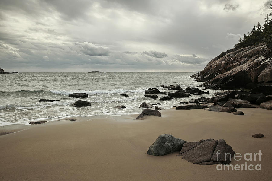 A Beach Day Photograph by Susan Garver A Beach Day Photograph by Susan Garver