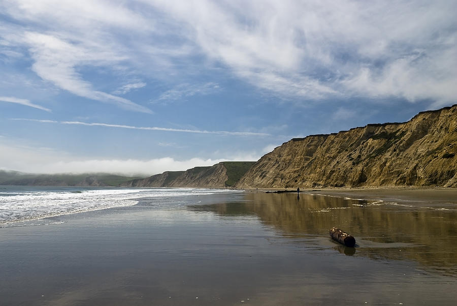 A Beachcomber on Drakes Bay Photograph by Mark Emmerson - Fine Art America