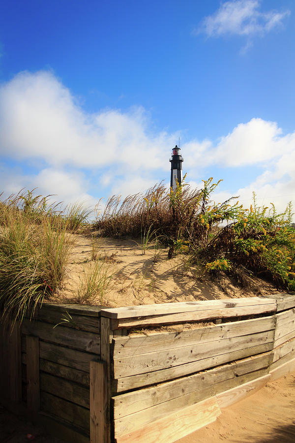 A Beacon in the Sand Photograph by Joni Eskridge