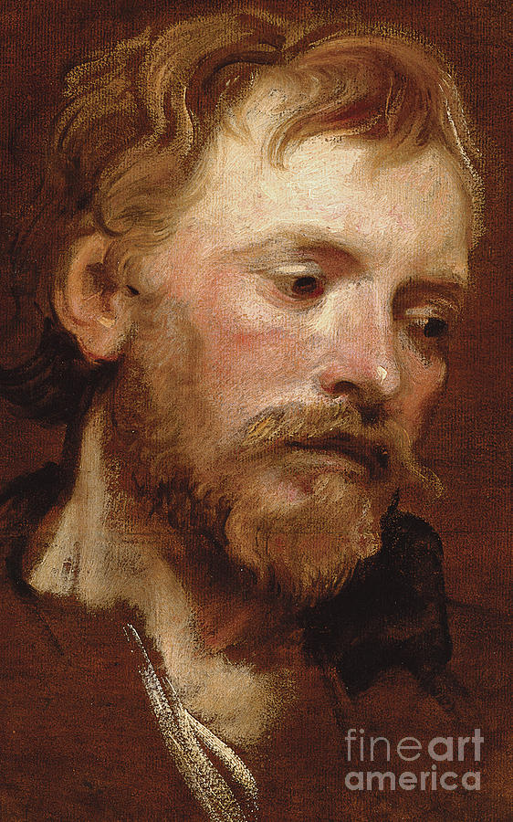 A bearded man, a study Painting by Anthony van Dyck