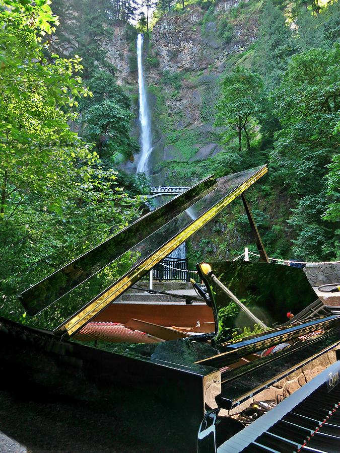 A Beautiful Baby Grand At The Majestic Multnomah Falls Lookout Photograph