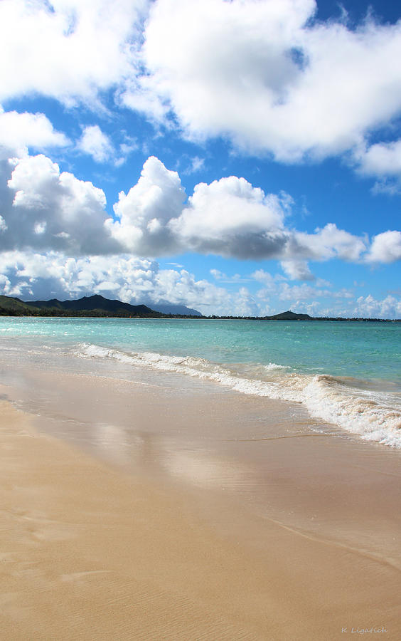 A beautiful Day At Kailua Beach Hawaii Photograph by Kerri Ligatich