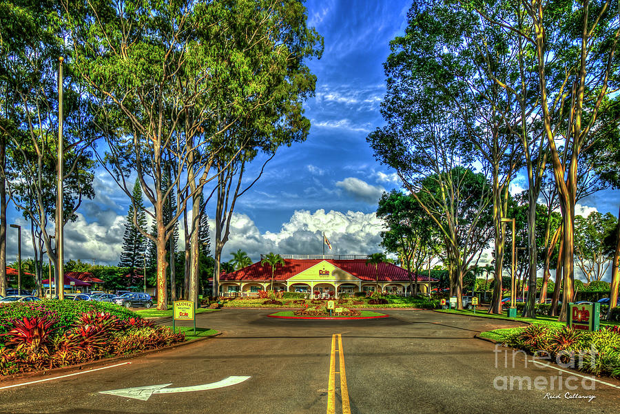 A Beautiful Day Dole Plantation Wahiawa  Oahu Hawaii Art Photograph by Reid Callaway