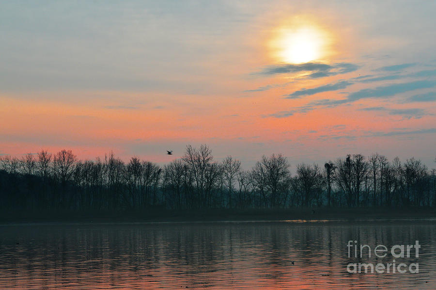 A Beautiful Morning At The Delaware River Photograph by Robyn King